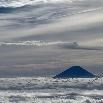イイものはイイ🗻