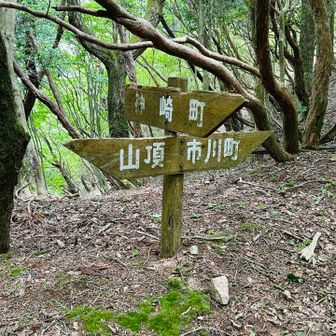 取り敢えず山頂へ。