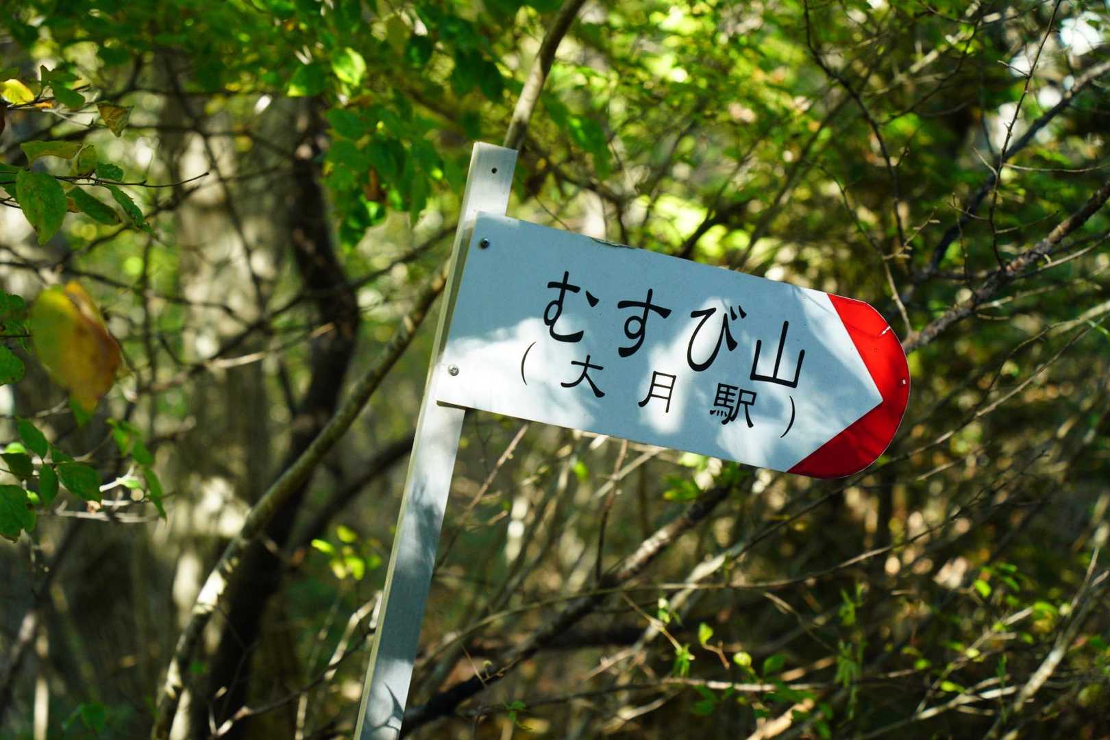 どうしてもおむすびを想像してしまう
あんまり眺望なかったです！
富士山見られると思ったのに！