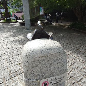 miki