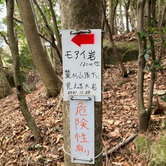 モアイ岩に再チャレンジ