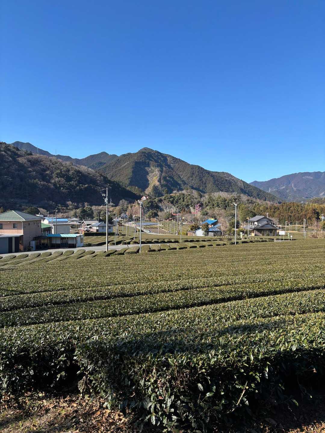 南猪子山-烏岳 往復コースの写真