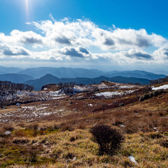奥の平からボタンブチ