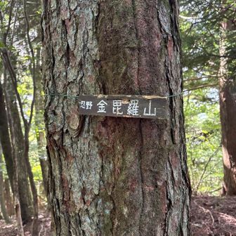 目立たないところに山名標識を発見。“忍野金毘羅山”とのこと。
確かに単なる金毘羅山だとあちこちにあるし、こちらの方がいいのでは？