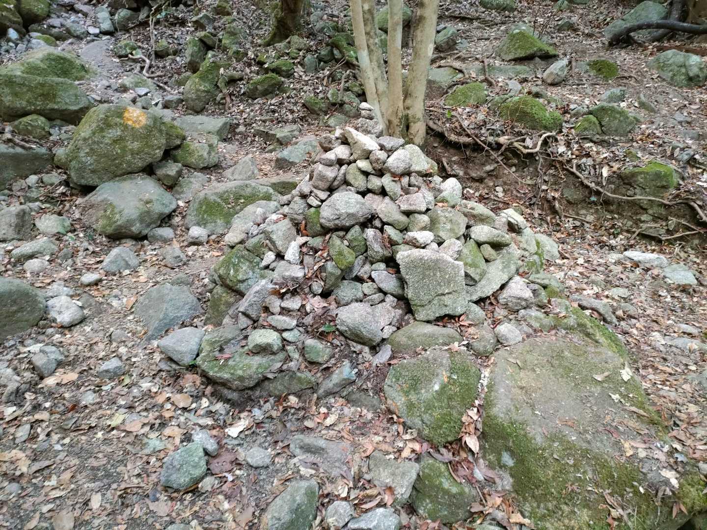 ケルン⛰️