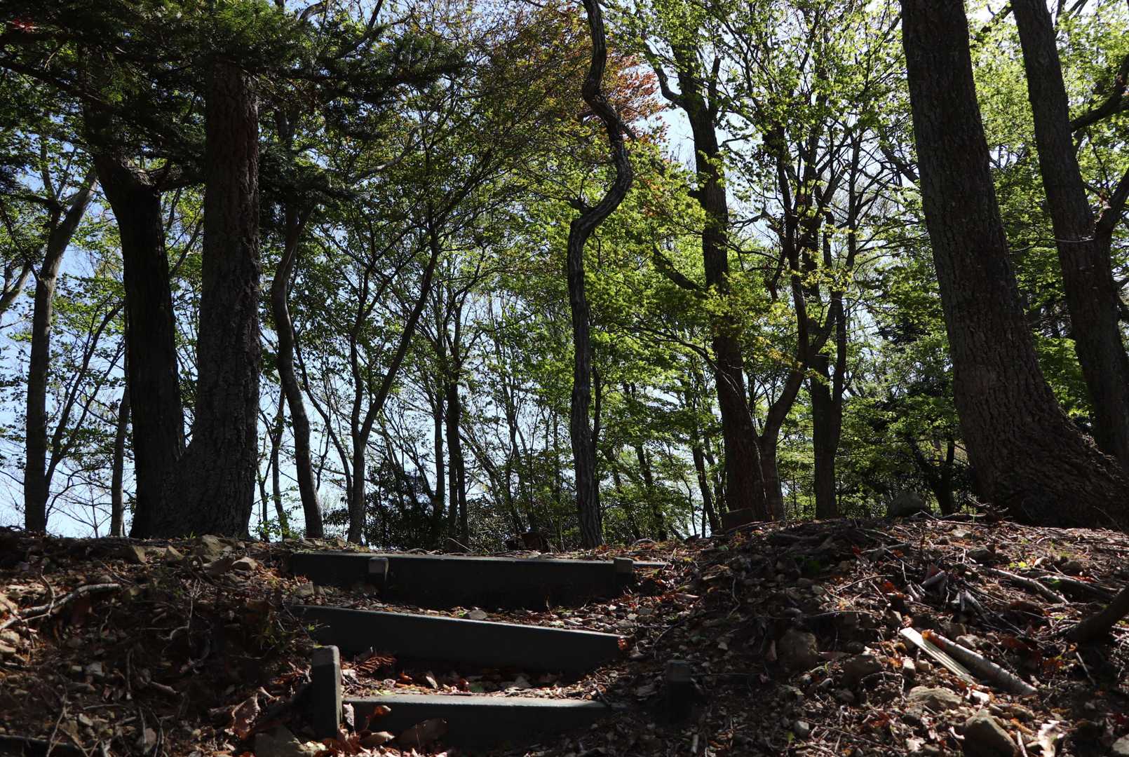 千磐神社-矢筈山登山口-矢筈山-美作河井駅-美作河井駅前バ 周回コースの写真