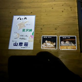 雨が凌げる夏沢峠でまずは一息。