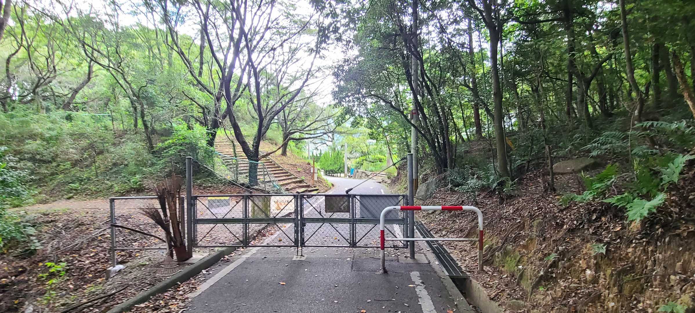 ここを抜けるともうすぐ井野公園🎄
車とめたとこ🚙