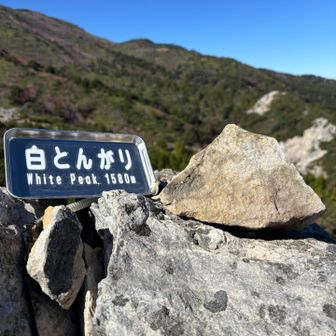 白とんがり🏔この石が白とんがりなの？