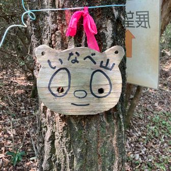 別名はいなべ山か？