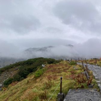 空は見えないものの、雨降りの散策もいいですね