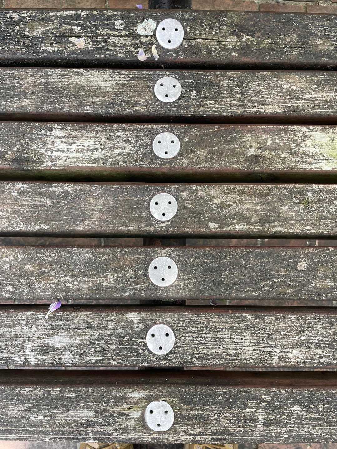 植物園のベンチ
😯