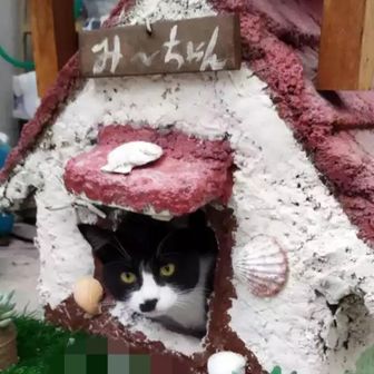 成合寺（じょうごうじ）🏕️