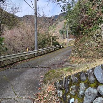 お花ばかり見ていたら
坂道は急登になりつつ…