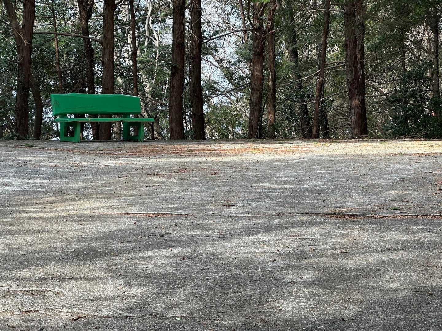 緑のベンチが見えたら登山口🟢
駐車場からここまで30分ぐらい