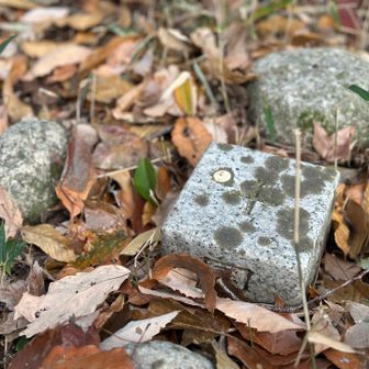 三角点▲

いっぱい笑って喋って歩いたーー🎶
めっちゃ楽しい1日だったーー
ありがとうーー😊♡