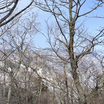 あれが大佐飛山？
