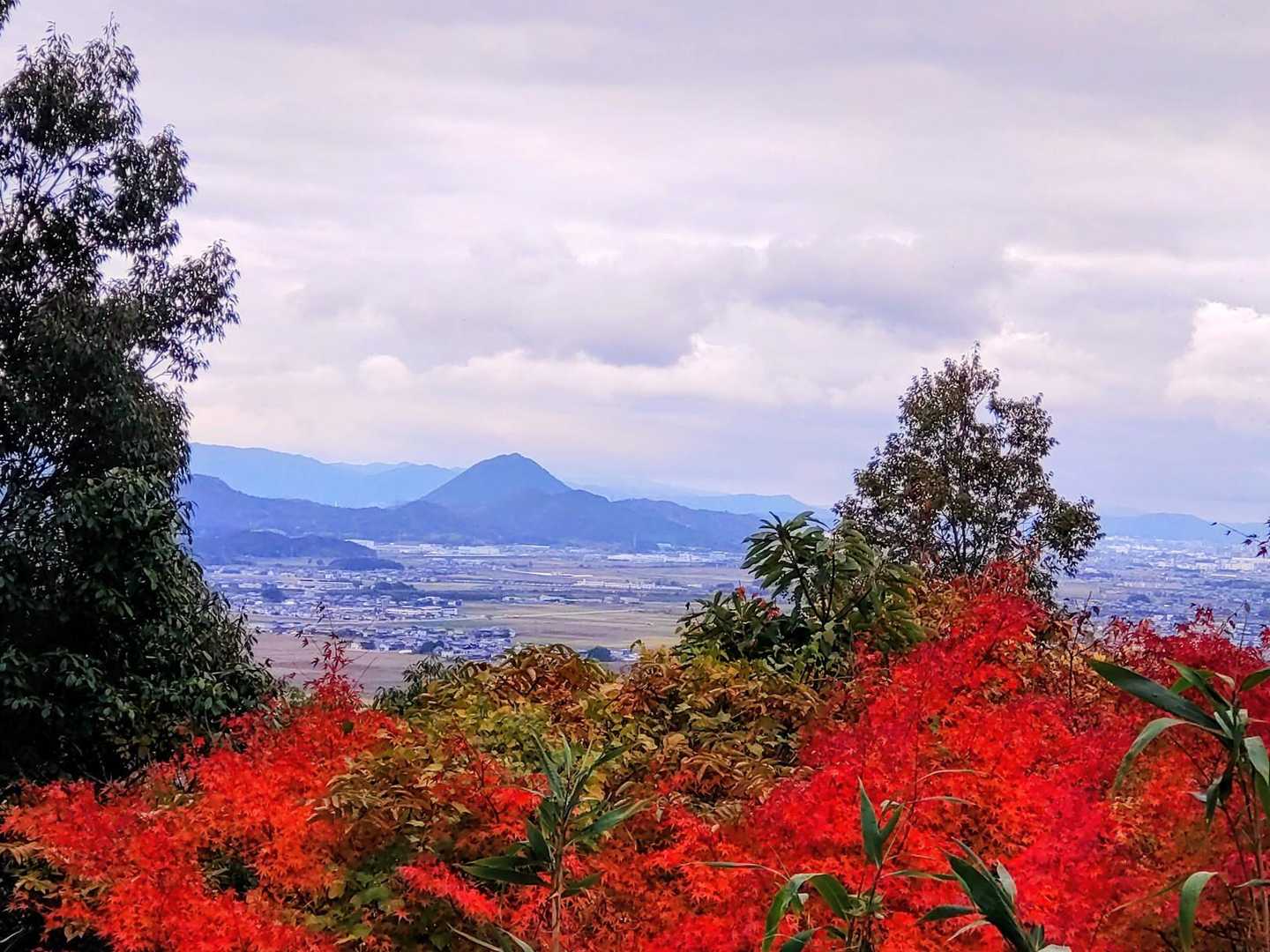 百々神社登山口-岩崎山-鶴翼山-西ノ丸-八幡神社登山口 縦走コースの写真