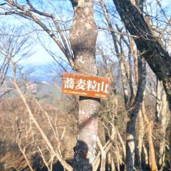 蕎麦の種って尖ってるらしいけど、よく見たことない。😅