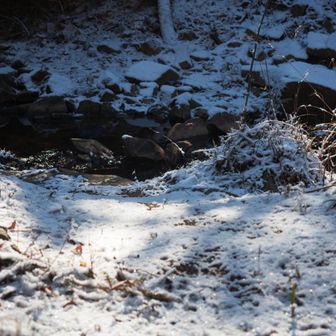 沢を渡って北峰へ