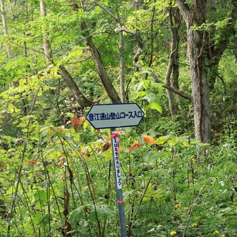 1番のり？熊鈴を必要以上にならして出発