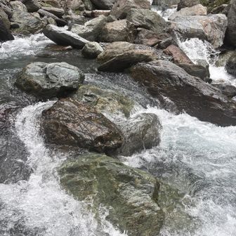 広河原の渡渉ポイント！
ここ数日はあまり雨も降ってないから余裕かと思ってたら結構ハード！

途中ですれ違った人の中にはジャンプを諦めてズボンをドボンしながら渡渉した人も居た。

たしかに岩ジャンプ失敗して転んだら全身ずぶ濡れになりそう！しかも流されるリスクも。

何とかクリアして渡る！
なんか楽しい😆