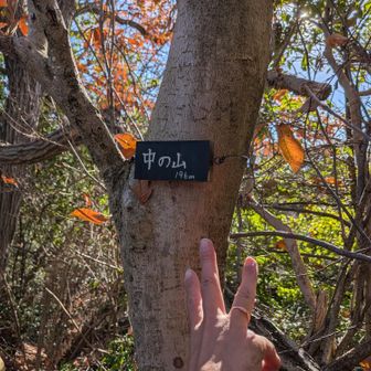 26！
ラスト3座になってまいりました。