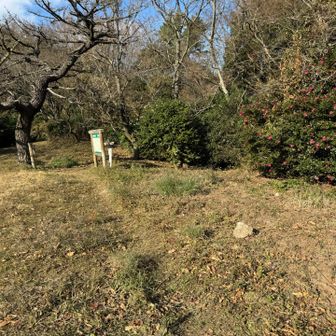 縦走路と下山路の分岐。尺岳平。