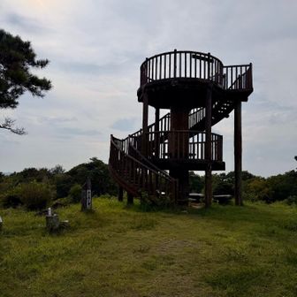 神野山山頂
