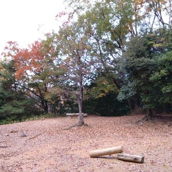 山頂付近の広場