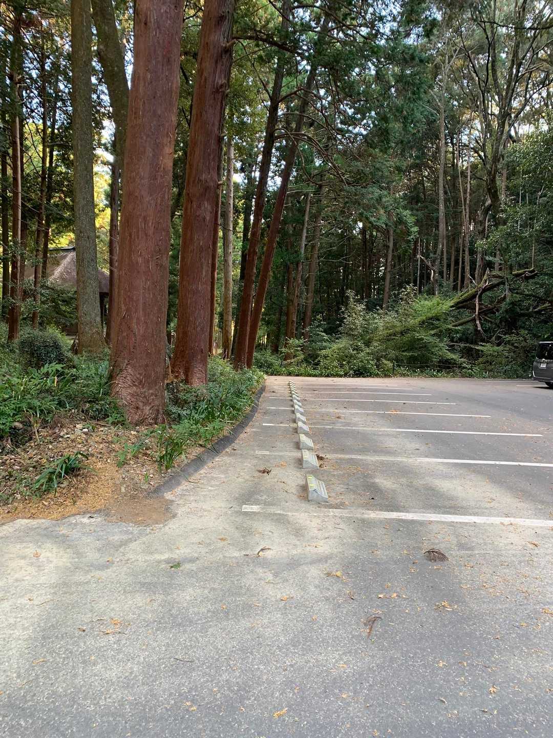 駐車場に戻りました　おつかれ山