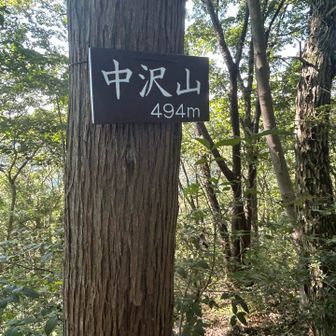 「中沢山494m」山頂標識