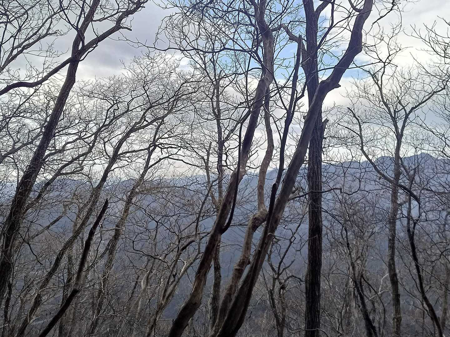 山頂西側の眺め、右奥のピークが石裂山