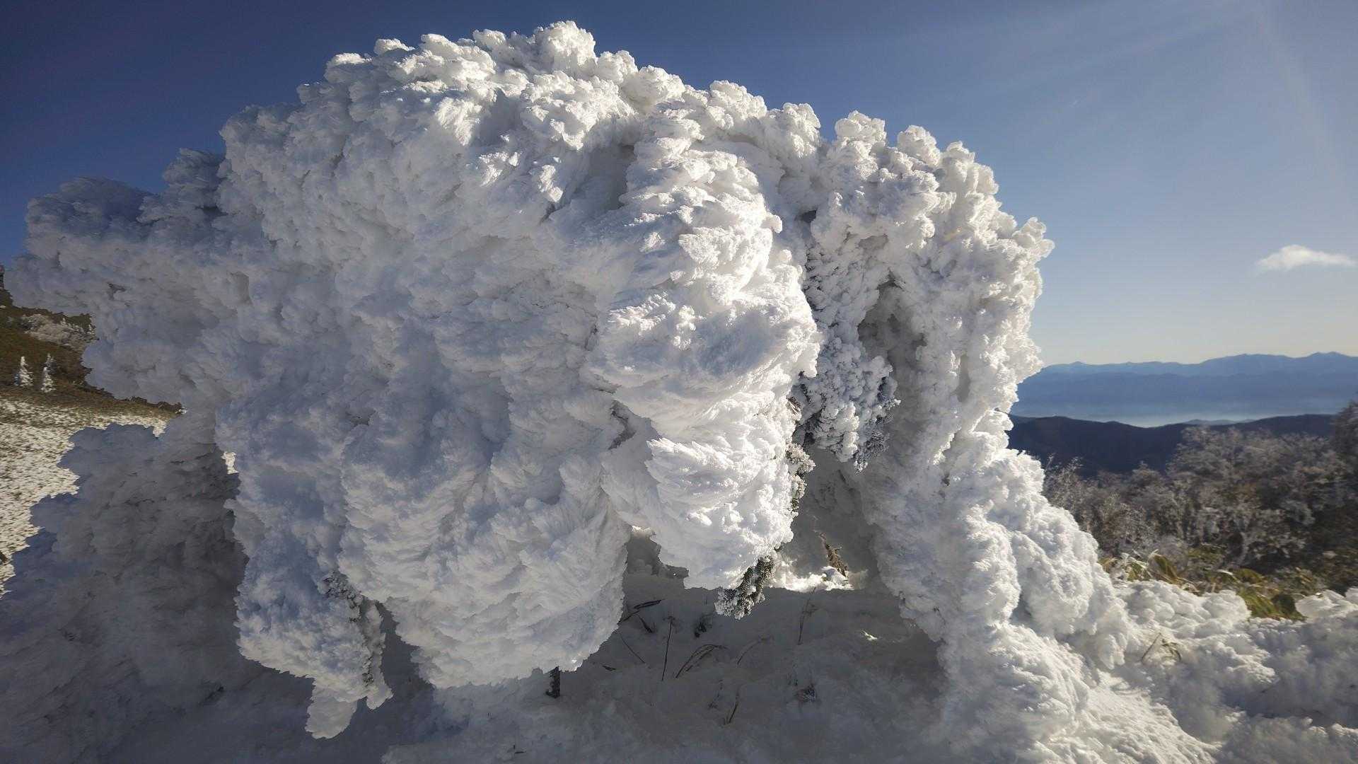 南沢山-横川山-湯舟沢山-富士見台 往復コースの写真