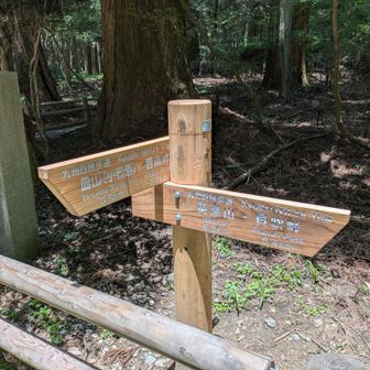 ついに英彦山の文字が。あと8Kmほど