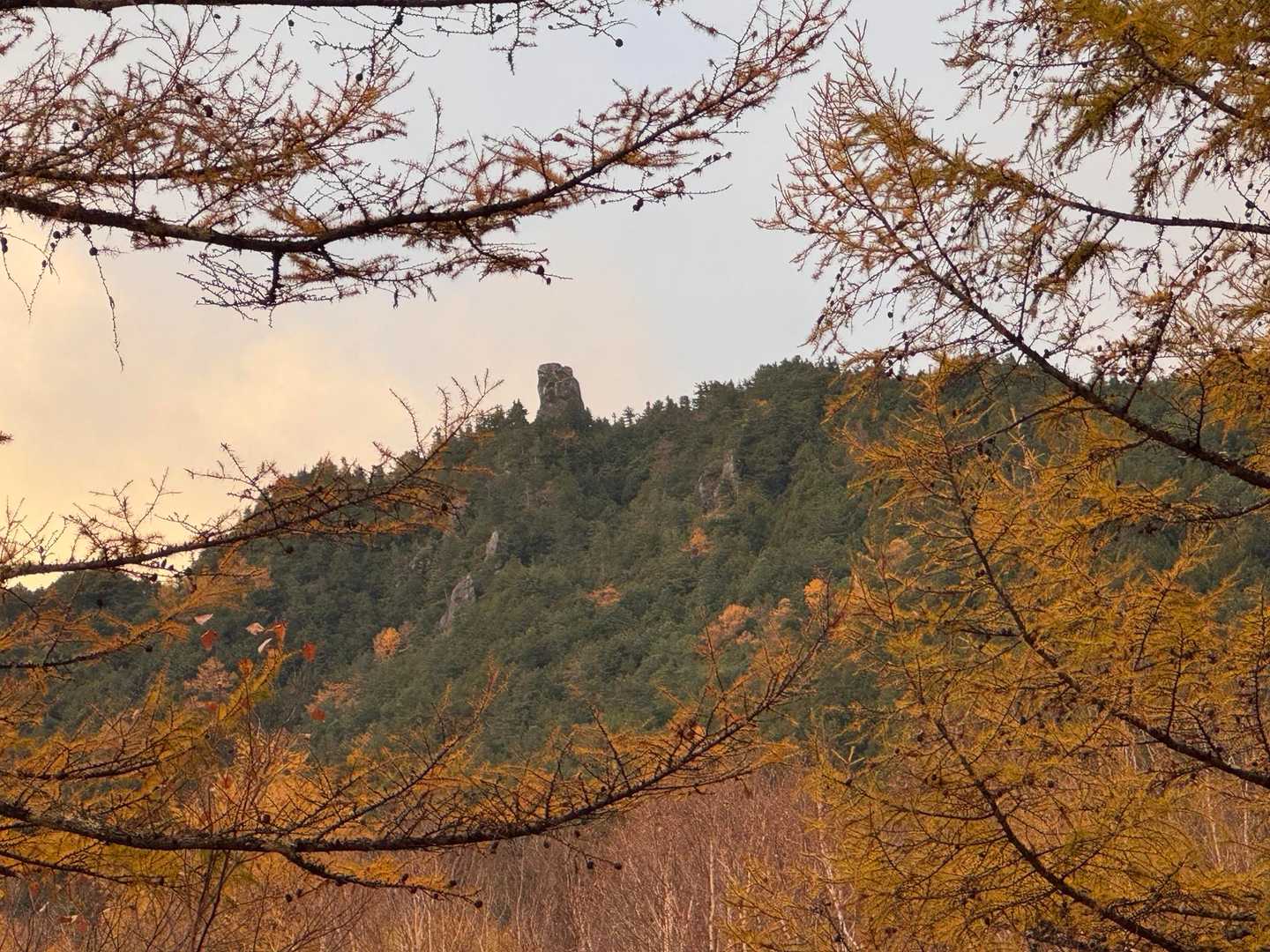 金峰山（廻り目平）の写真