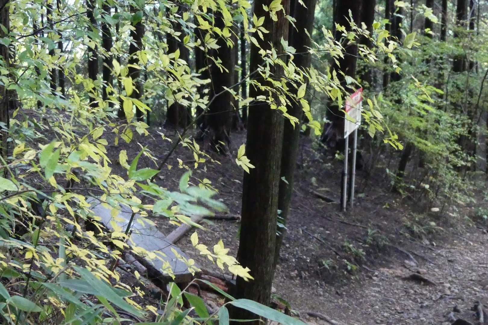 岩湧寺-いわわきの道・きゅうざかの道入口-岩湧山 周回コースの写真