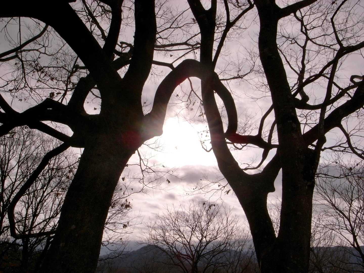 　こんな景色に出会えただけでも
　　今日登って良かったなと。