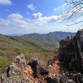歩いてきた稜線
300m級の山の景色とは思えない迫力！