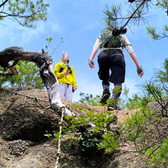 登りきったら山頂
