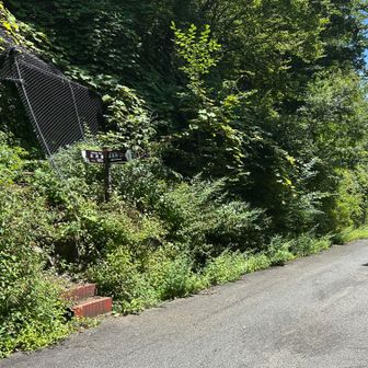 12時半前に道路に降りた。10分歩いて広河原。