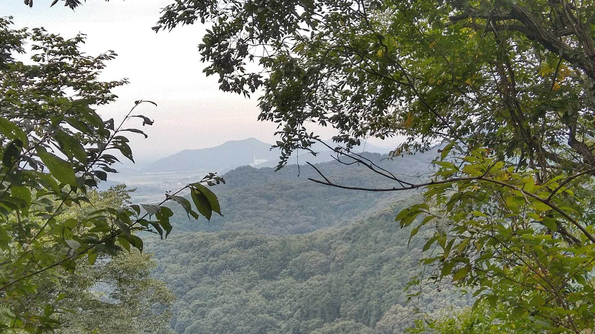 途中ちょこちょここういった景色は見られます👍️