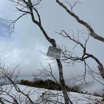 アップダウン繰り返して天狗山👺到着