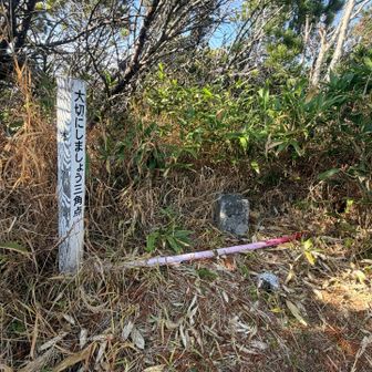 有明山の山頂に到着🙌🏻
あれ？山頂標識は🤔と探すと…