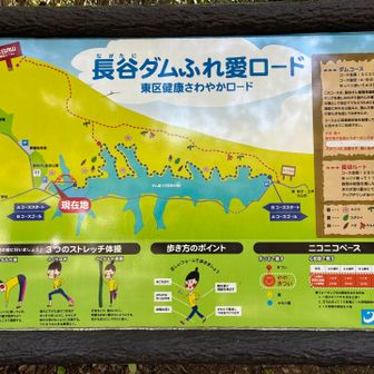 下原方面へ下山すると、そこに長谷ダムがあります。