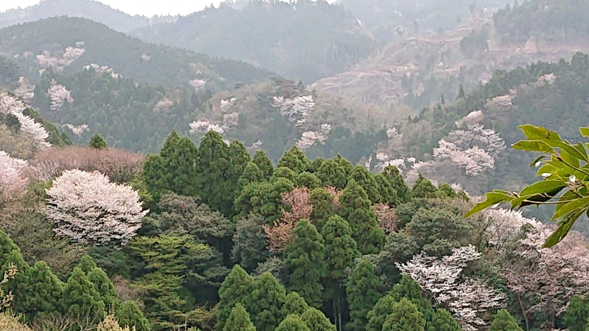 宇曽山 往復コースの写真