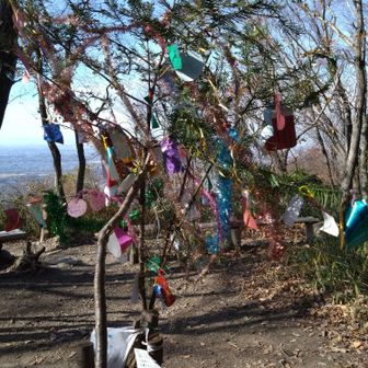 出逢いの広場、クリスマスツリー