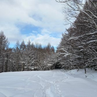 ソリ楽し過ぎ🛷🛷🛷