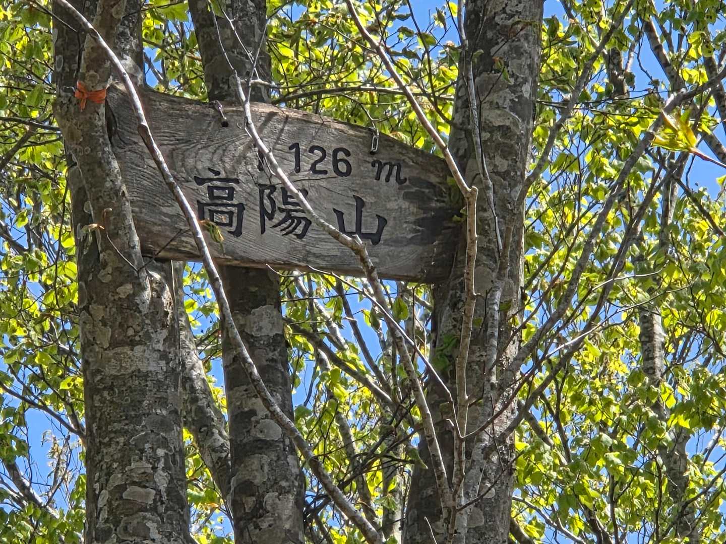 高陽山登山口-高陽山 往復コースの写真