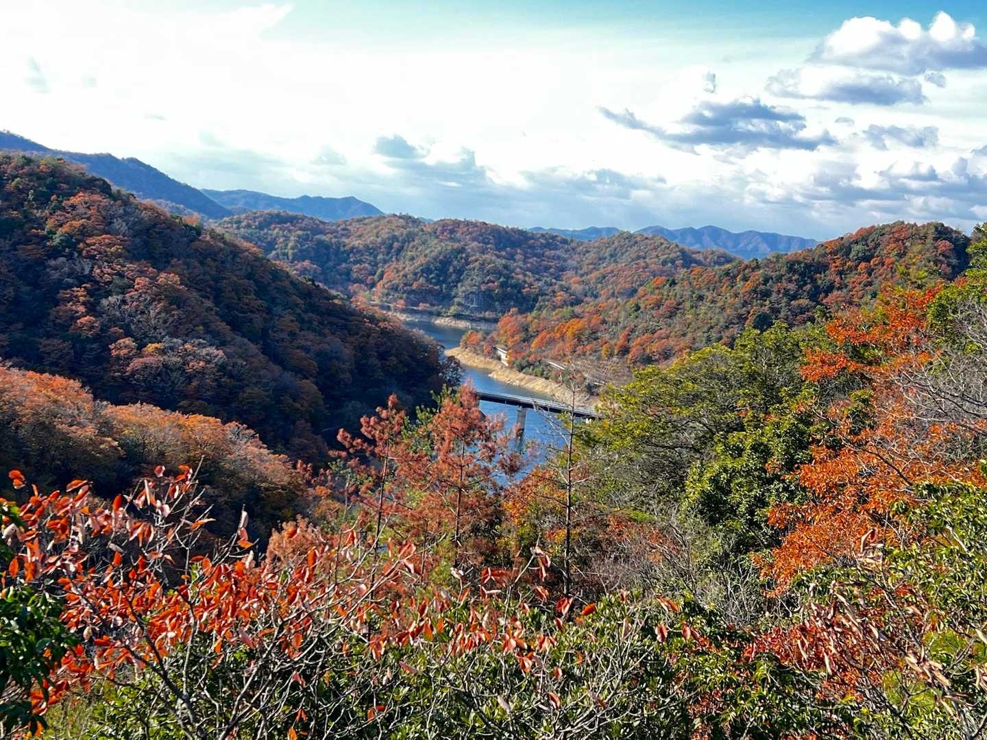藤ノ木山登山口-藤ノ木山 周回コースの写真